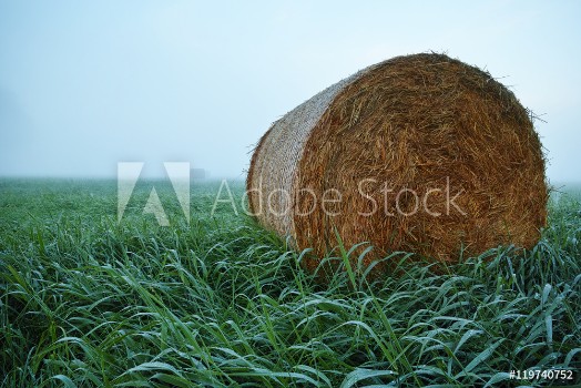Image de Heuball nasses Gras Nebel